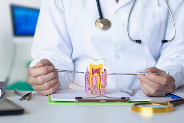 Best Emergency Dentist for Knocked-Out Tooth in Whitewright, TX